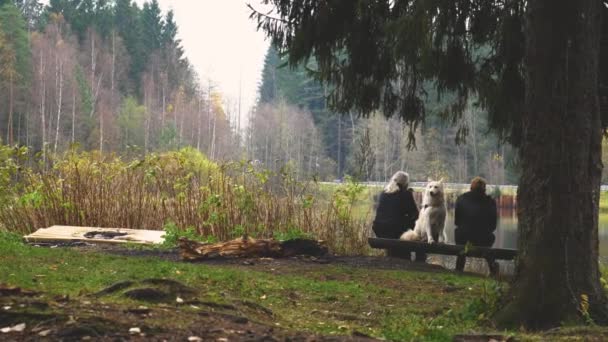 Köpekli yaşlı bir çift gölün kenarında oturur.. — Stok video