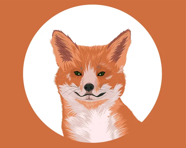 Ωραίο πορτραίτο κόκκινης αλεπούς. Αλεπού με μεγάλα αφράτα αυτιά — Διανυσματικό Αρχείο