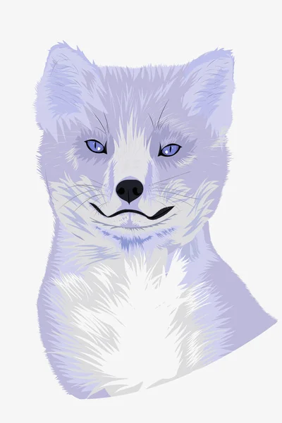 Χαριτωμένο αρκτική αλεπού πορτρέτο με μεγάλα αφράτα αυτιά — Διανυσματικό Αρχείο