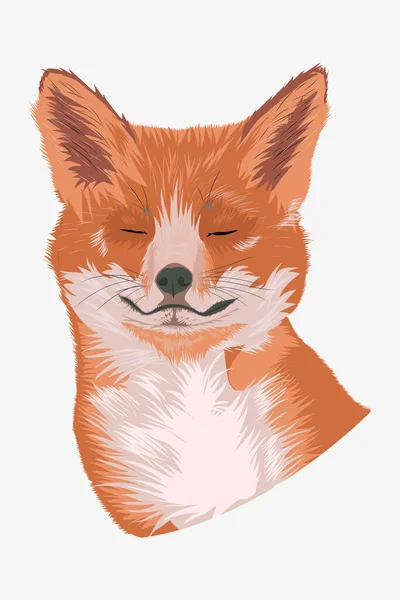 Cute red fox portrait. Fox with large fluffy ears — Stock Vector