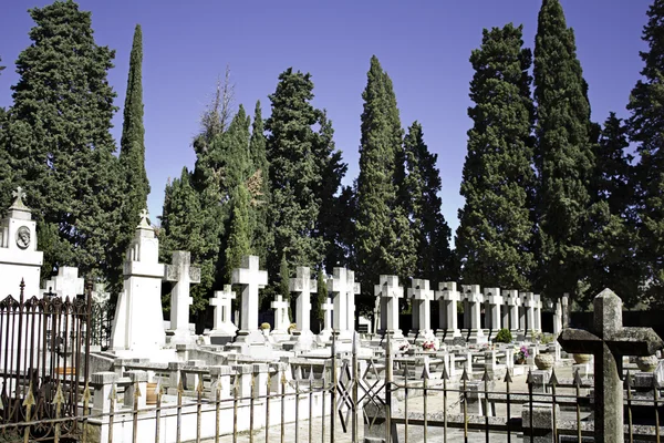 Cementerio con cipreses — Foto de Stock