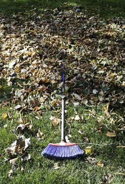 Broom with leaves — Stok fotoğraf