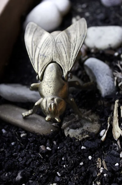 Insectos en la Tierra — Foto de Stock