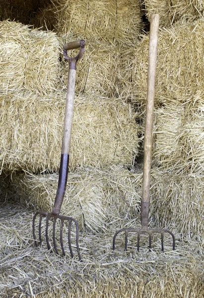 Rake in straw — Stock Photo, Image