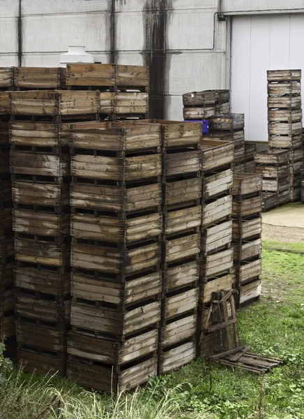 Cajas de transporte — Foto de Stock