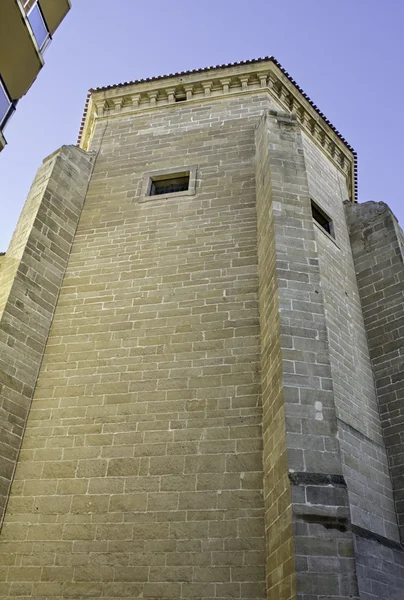 Alte mittelalterliche Burg — Stockfoto