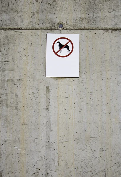 犬の禁止 — ストック写真