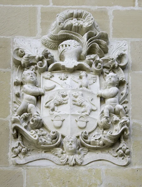 Tarcza heraldyczna — Zdjęcie stockowe