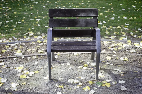 孤坐在公园的长椅 — 图库照片
