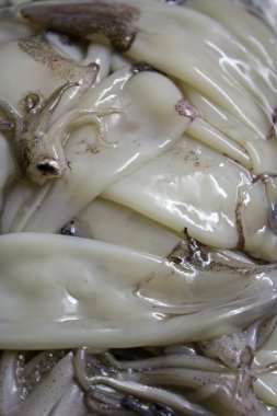 kalamar ve mürekkep