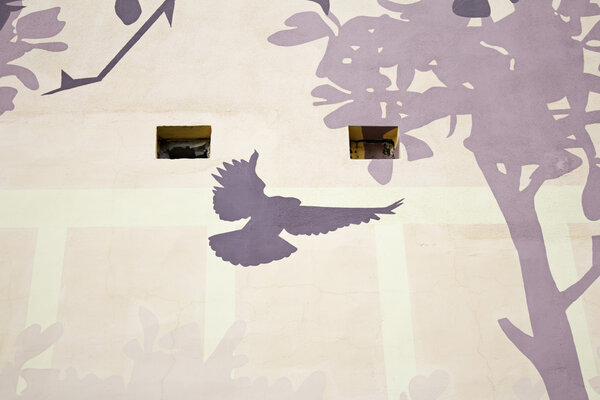 Силуэт голубя
