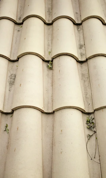 Clay střecha — Stock fotografie