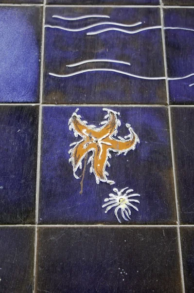 Painted Starfish — Stock Photo, Image