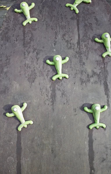 Frogs artistic — Stock Photo, Image