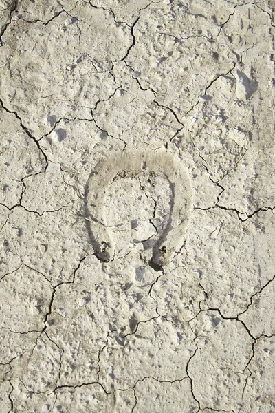 At nalı zemin — Stok fotoğraf