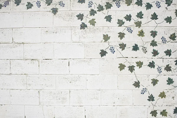 Wand mit Pflanzen — Stockfoto