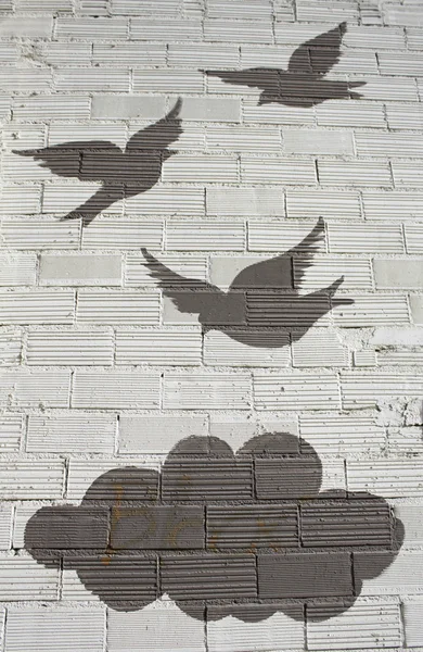 Birds and cloud — Stock Photo, Image