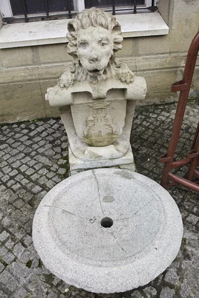 Brunnen mit Löwe — Stockfoto