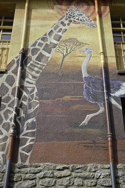 Giraffe and ostrich — Stock Photo, Image