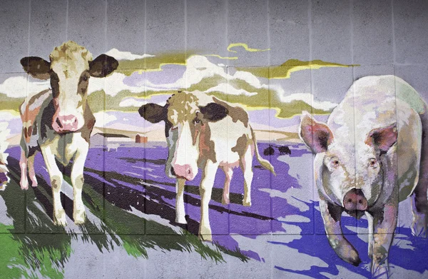 Vacas e suínos — Fotografia de Stock