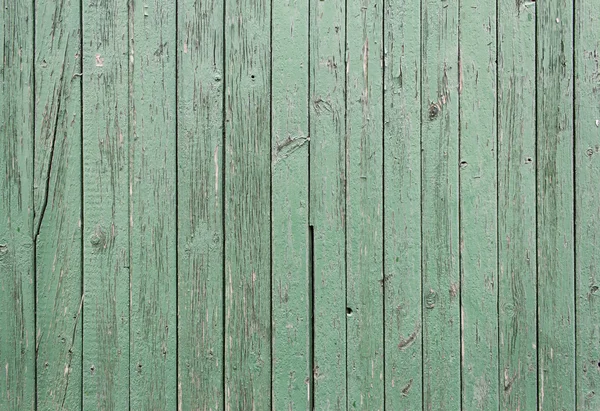 緑の木製ドア — ストック写真