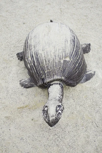 Waldschildkröte im Sand — Stockfoto