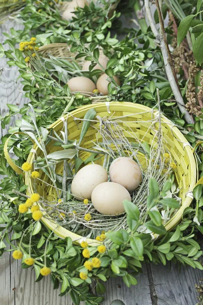 Hartgekochte Eier — Stockfoto