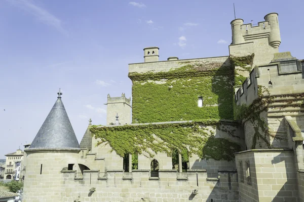 Estrutura do castelo — Fotografia de Stock