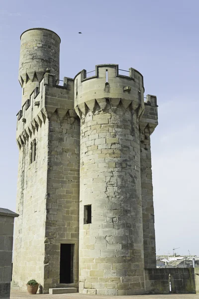 Castle with tower — Stock Photo, Image