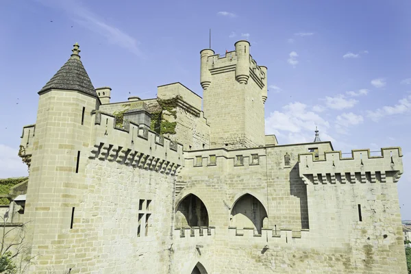 Época medieval do castelo — Fotografia de Stock