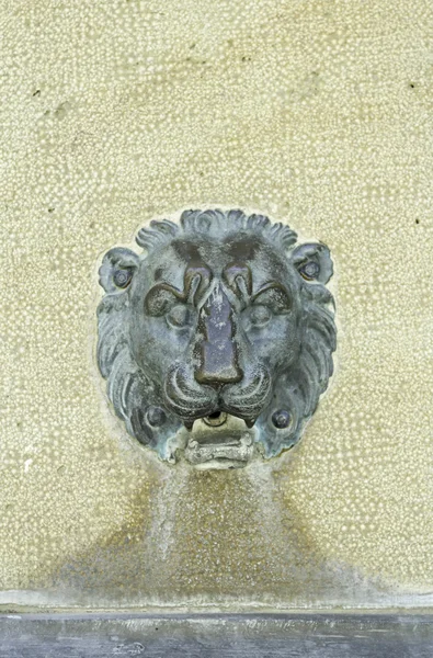 León de cobre — Foto de Stock