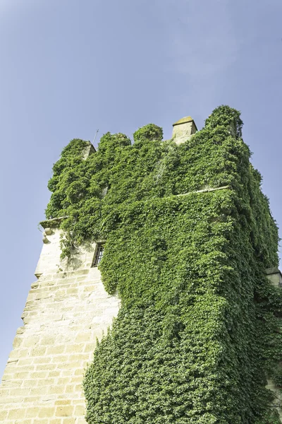 Старовинний замок olite — стокове фото