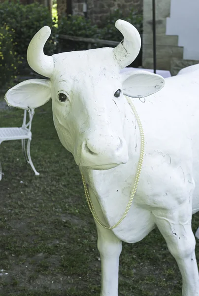 White cow — Stock Photo, Image
