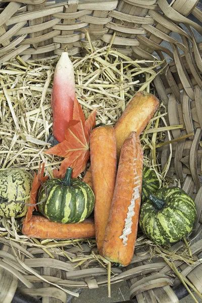 Carrots and squash — Stock Photo, Image