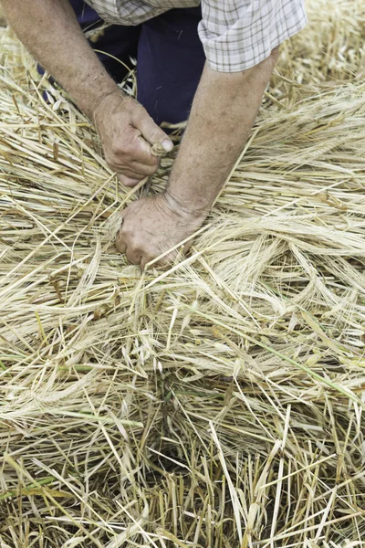 Farmer working — Stock Photo, Image