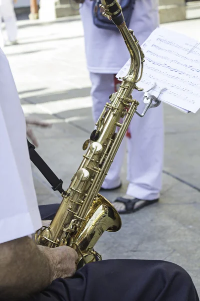 Musicista con partiture — Foto Stock