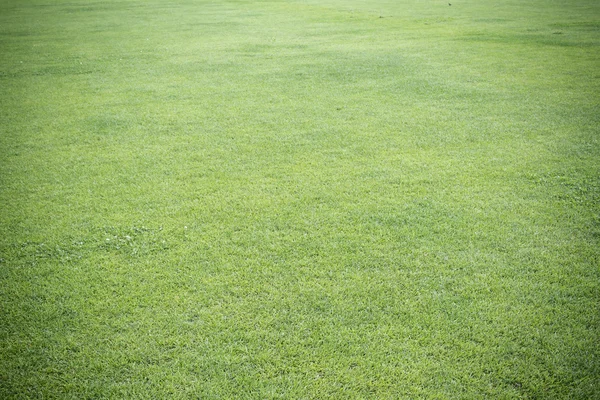 芝生のサッカー — ストック写真