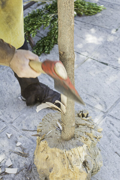 Рабочий рубит деревья
