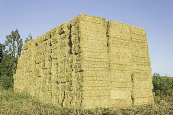 Fattoria di paglia — Foto Stock