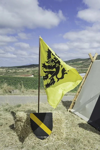Medieval shield flag — Stock Photo, Image