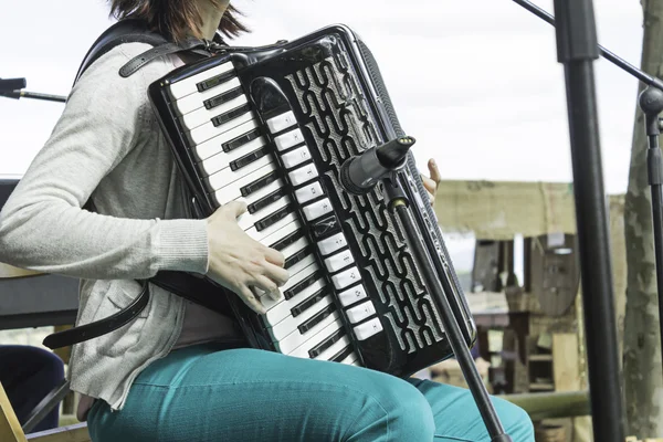 Musicista con fisarmonica — Foto Stock