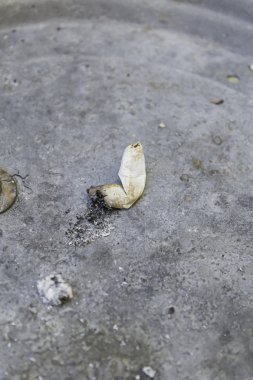 Kül tablasında joint