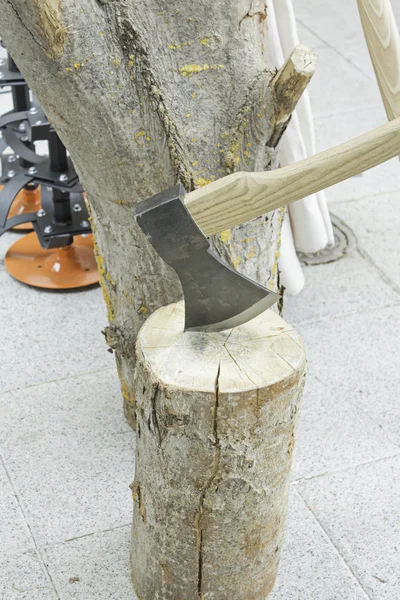 Axt im Baumstamm — Stockfoto