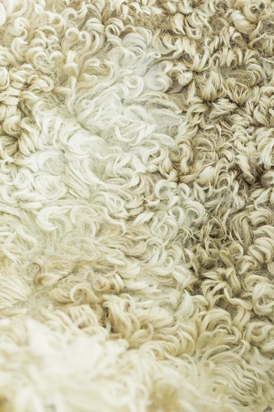 Wool dark — Stock Photo, Image
