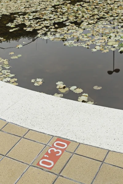 Бассейн с листьями — стоковое фото