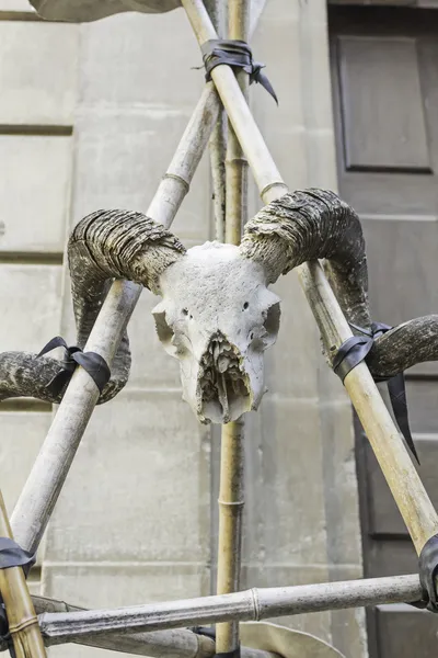 Male goat skull — Stock Photo, Image