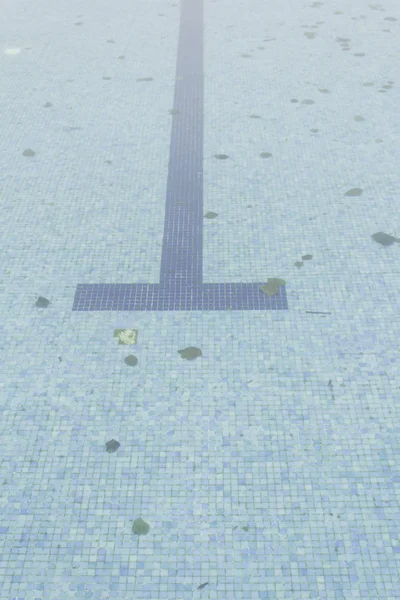 Abandoned pool — Stock Image Abandoned pool Stock Picture