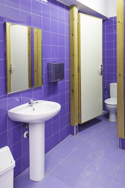Mavi Çinili banyo
