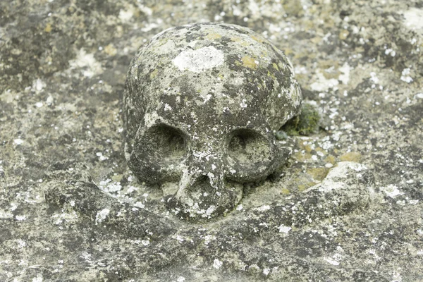 Cráneo en la tumba — Foto de Stock