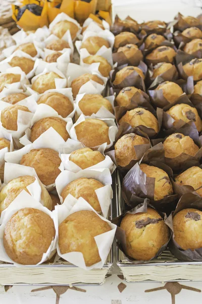 Muffins mit Schokolade — Stockfoto
